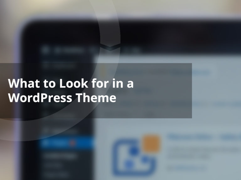 What to Look for in a WordPress Theme